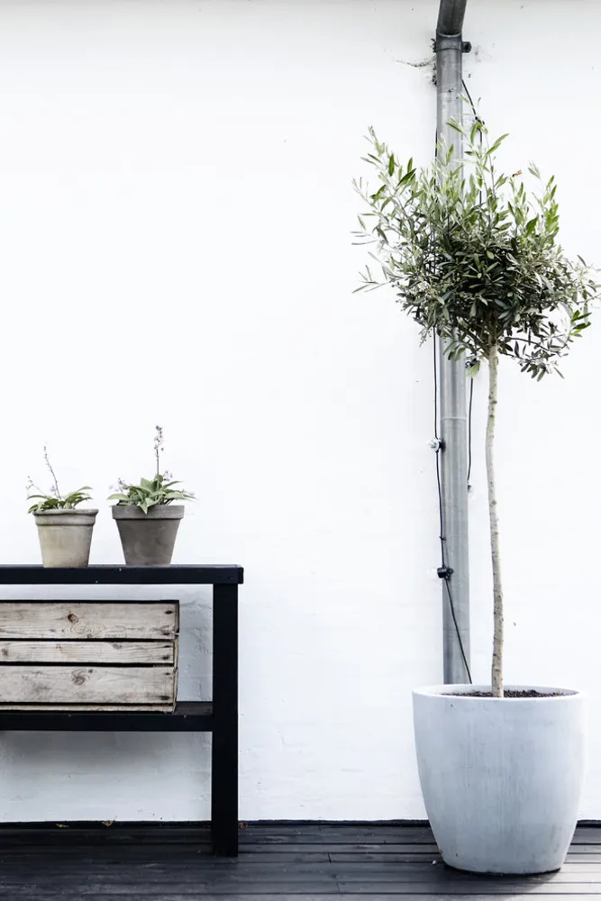 Servista Tours – Louise Otto