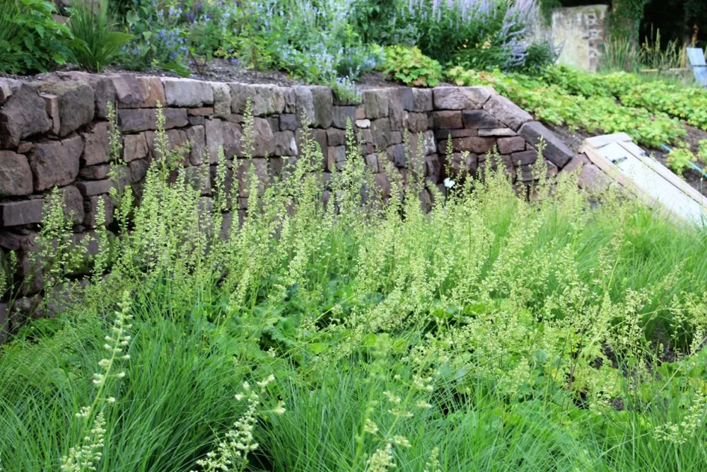 Farmhouse Garden
