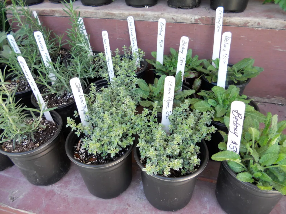 Classic Garden Styles at Colonial Williamsburg