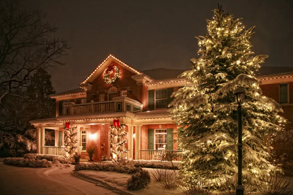 Zimní říše stromů a keřů