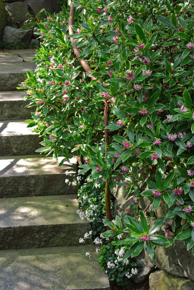 Внешние пейзажи