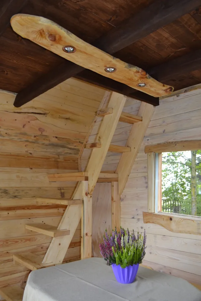 Lite hus "Black Dragonfly"