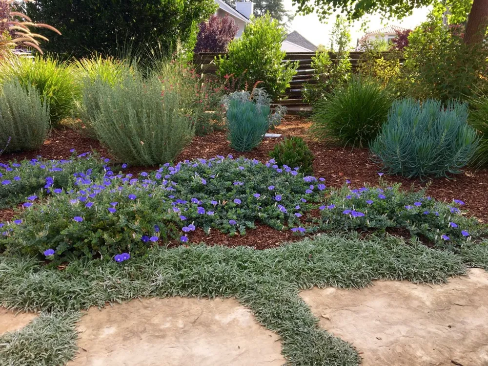 Małe zmiany, duży wpływ w Cupertino