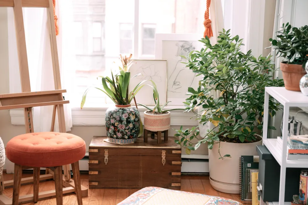 Servista'ım: Bir Washington, D.C.'de Kiralık Modern, Eklektik Tarz