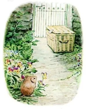 Timmie Willie Hamper