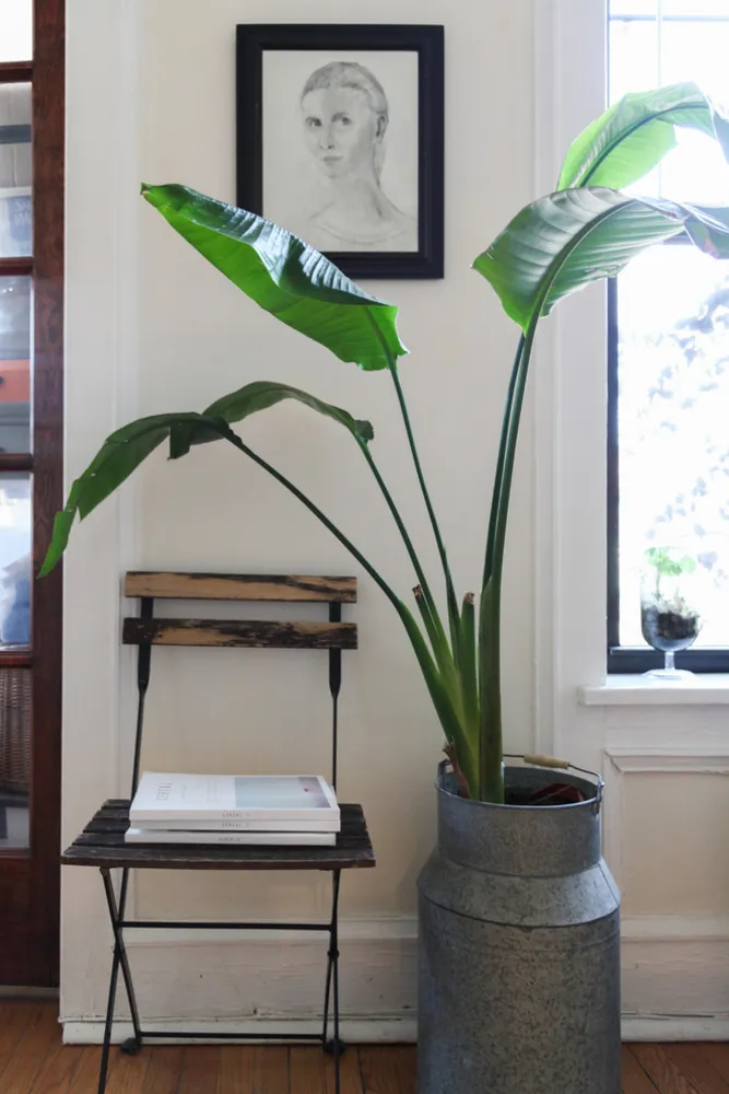 My Servista : des touches vintage réconfortantes dans une location cosy à Chicago