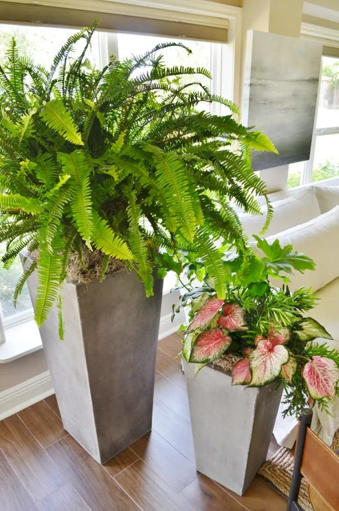 Modern cottage heather scott