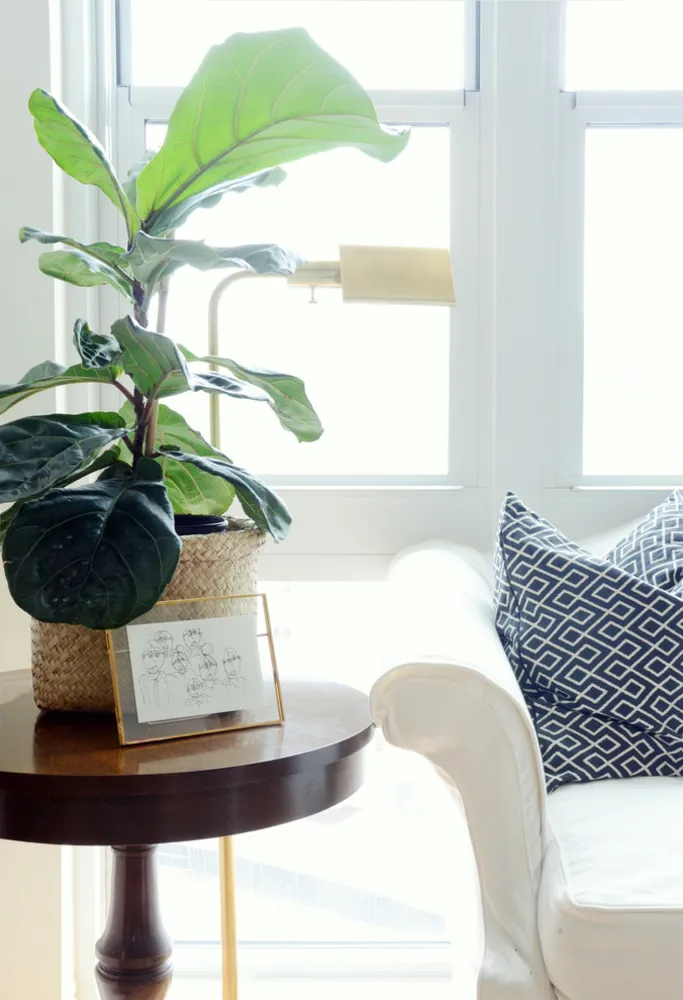 Мой Servista: Коллекционное очарование в центре города Провиденс