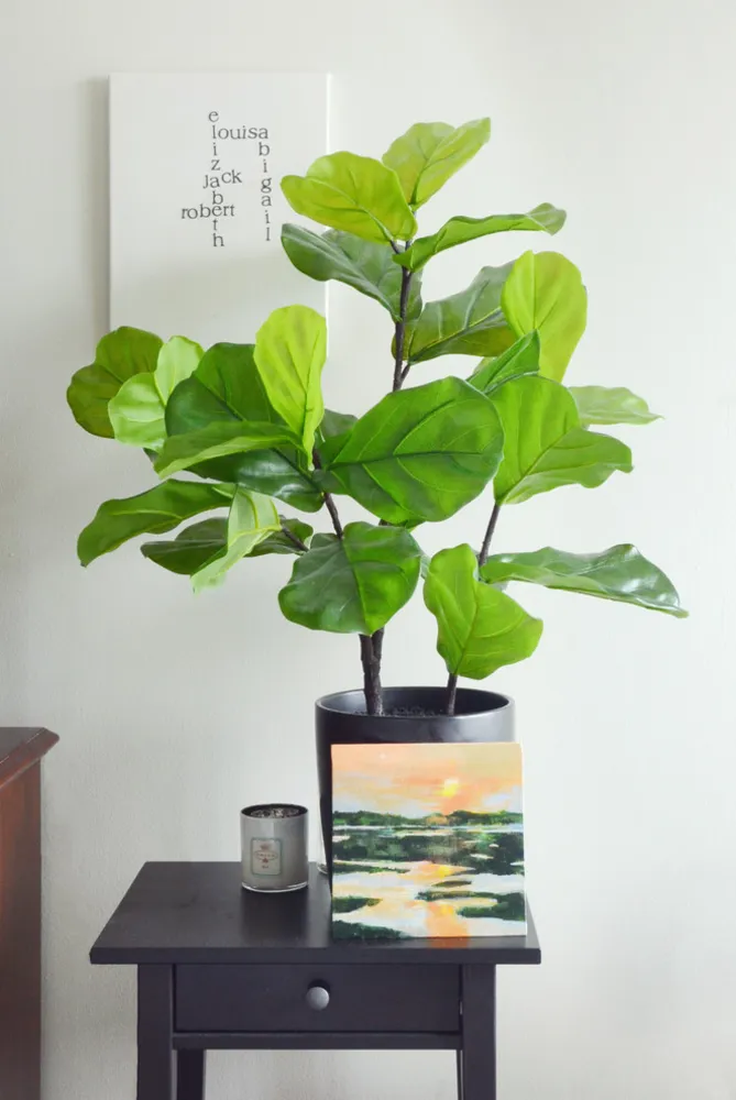 Мой Servista: Коллекционное очарование в центре Провиденса