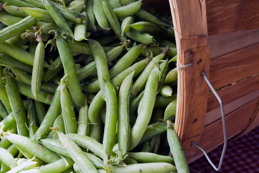 Ærter på Farmers Market