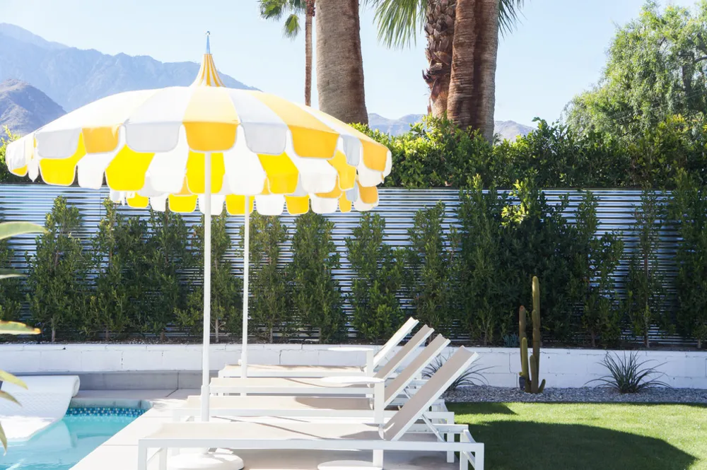 MyServista: Photography sætter tone i Palm Springs Mid-Century