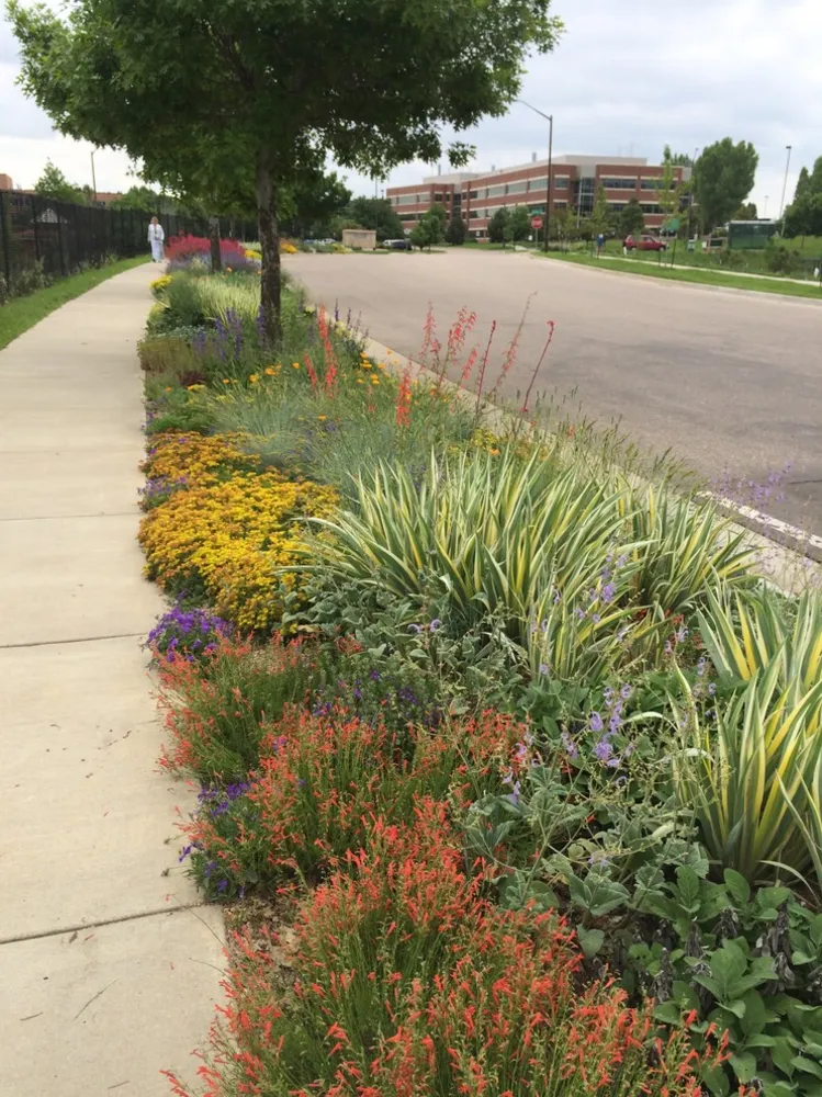 Zahrady na pekelném pásu Spring Creek