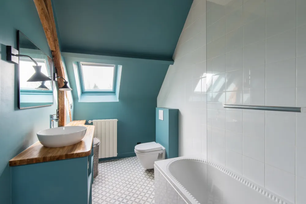 MAISON DE CAMPAGNE SURFONDS