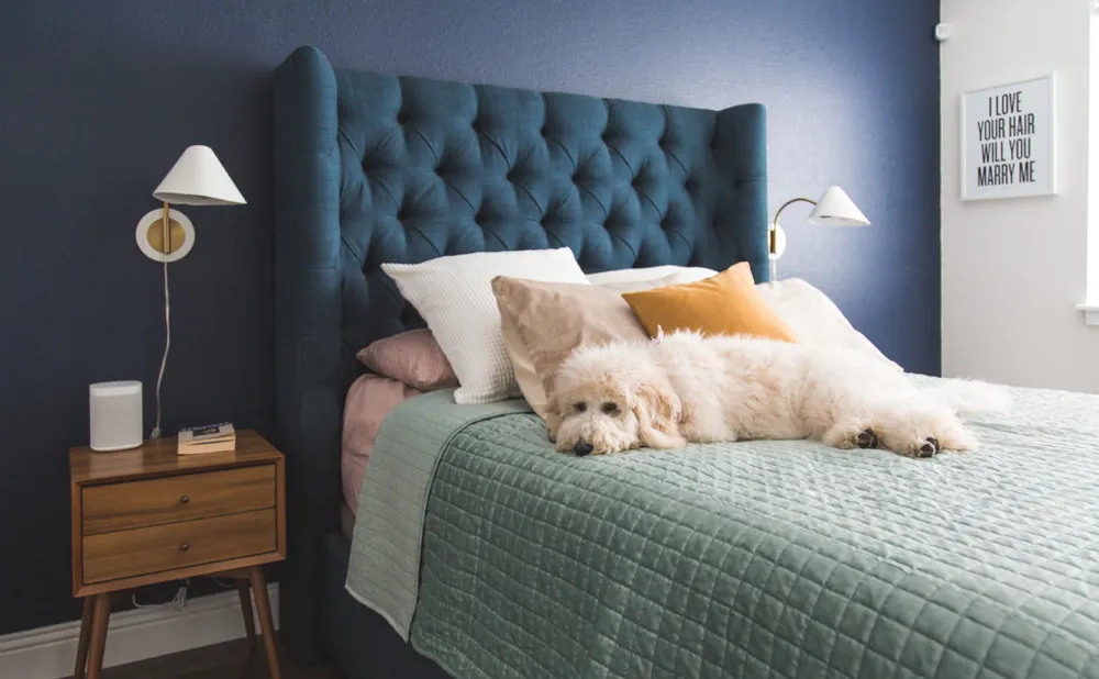 My Servista: rinnovamento rinfrescante per un ranch degli anni '60 in Texas