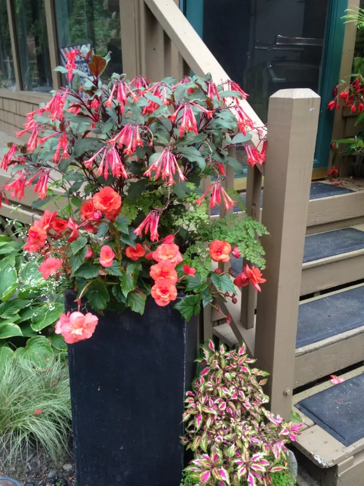 Садовые конструкции в контейнерах