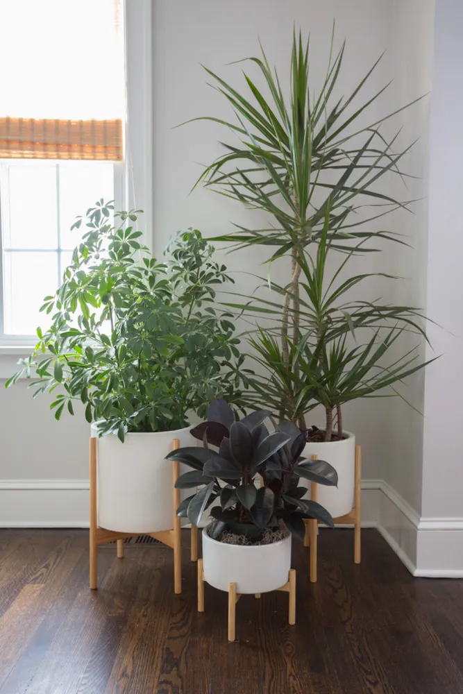 My Servista: A Couple's Fresh Start in Kansas City