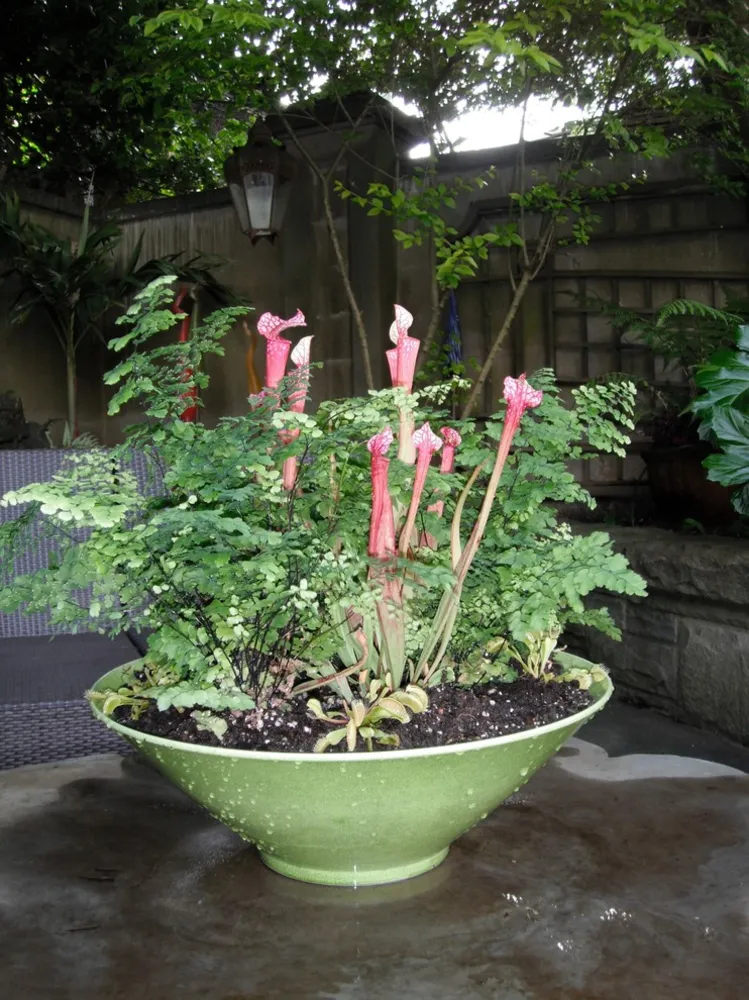 Теневые контейнеры