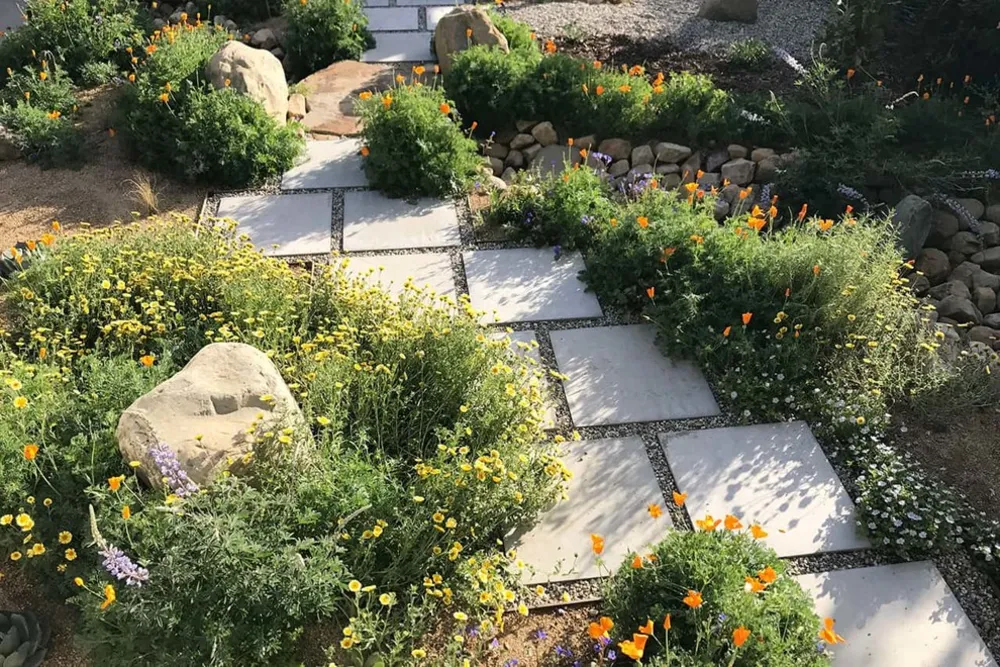 2018 Native Plant Garden Tour
