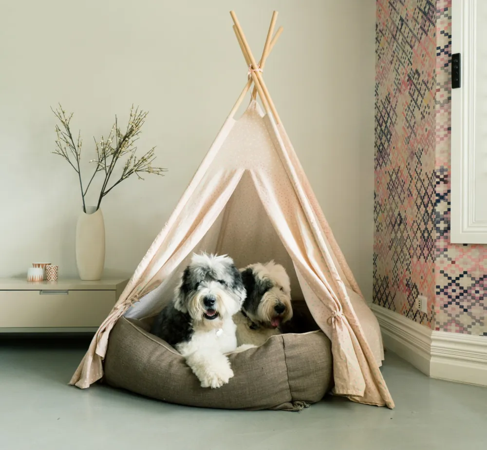 Dulux dogs