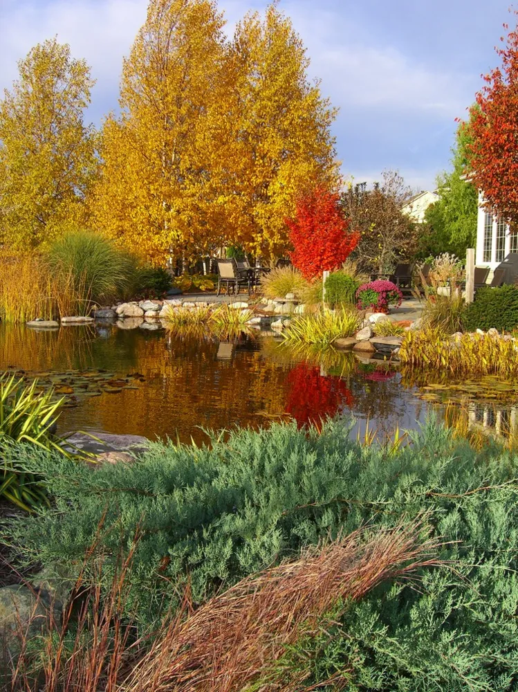 Un giardino per ogni stagione