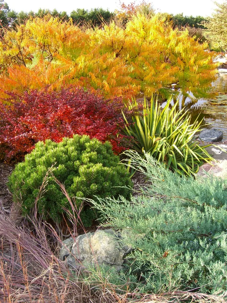 En have til hver årstid