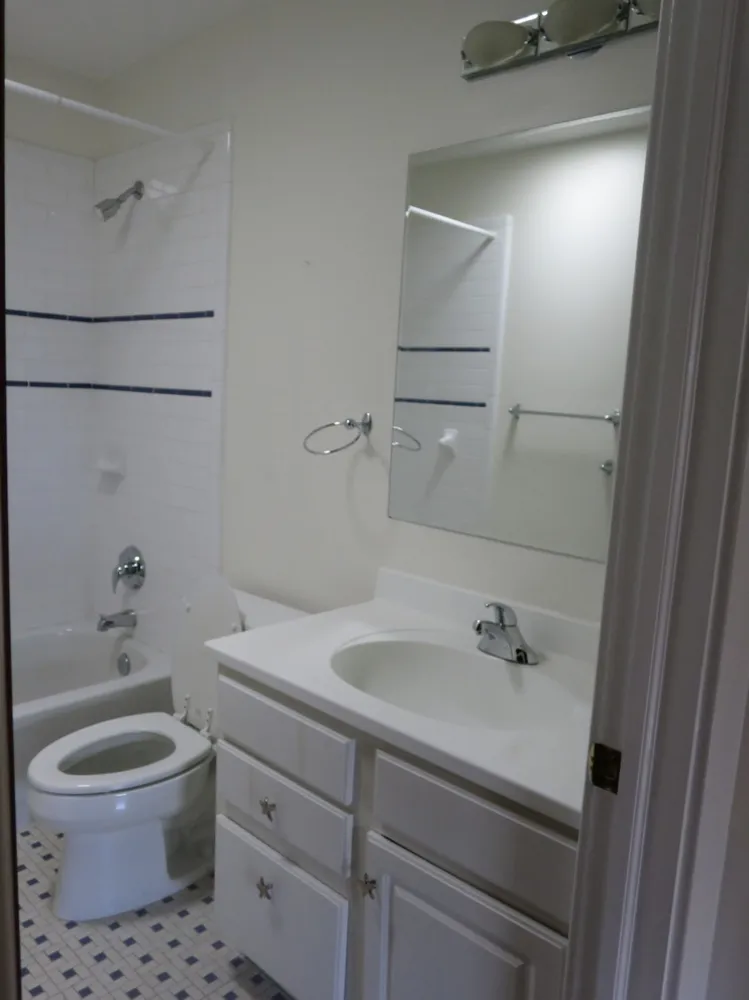 Ashton Heights Renovation