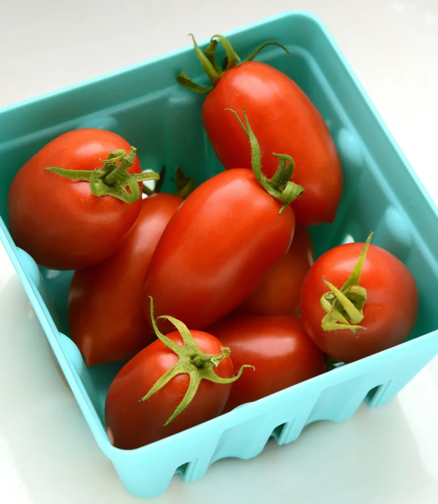 Heirloom Marriage™ ‘Marzinera’