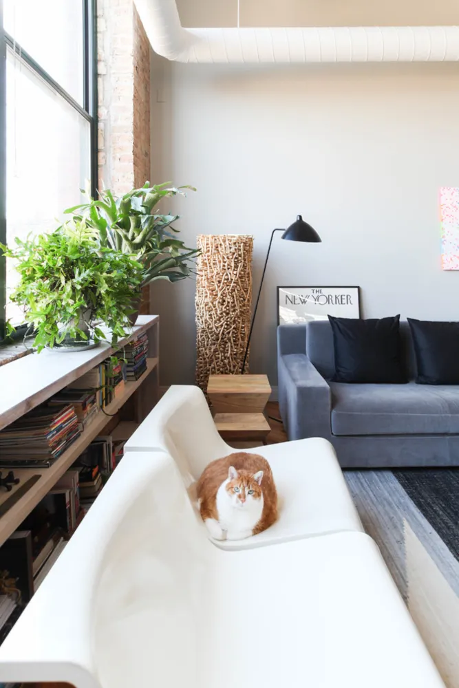 My Servista: il sontuoso e lussuoso loft di Chicago di un ristoratore