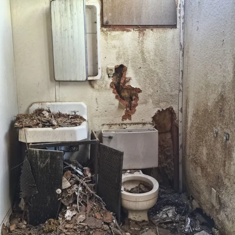 Servista Tour: Capanna nel deserto