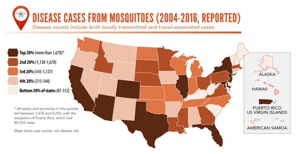 Hur man håller myggor borta