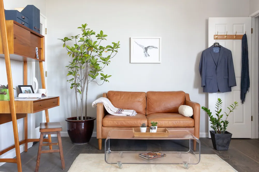 Pacific Heights vintage moderno