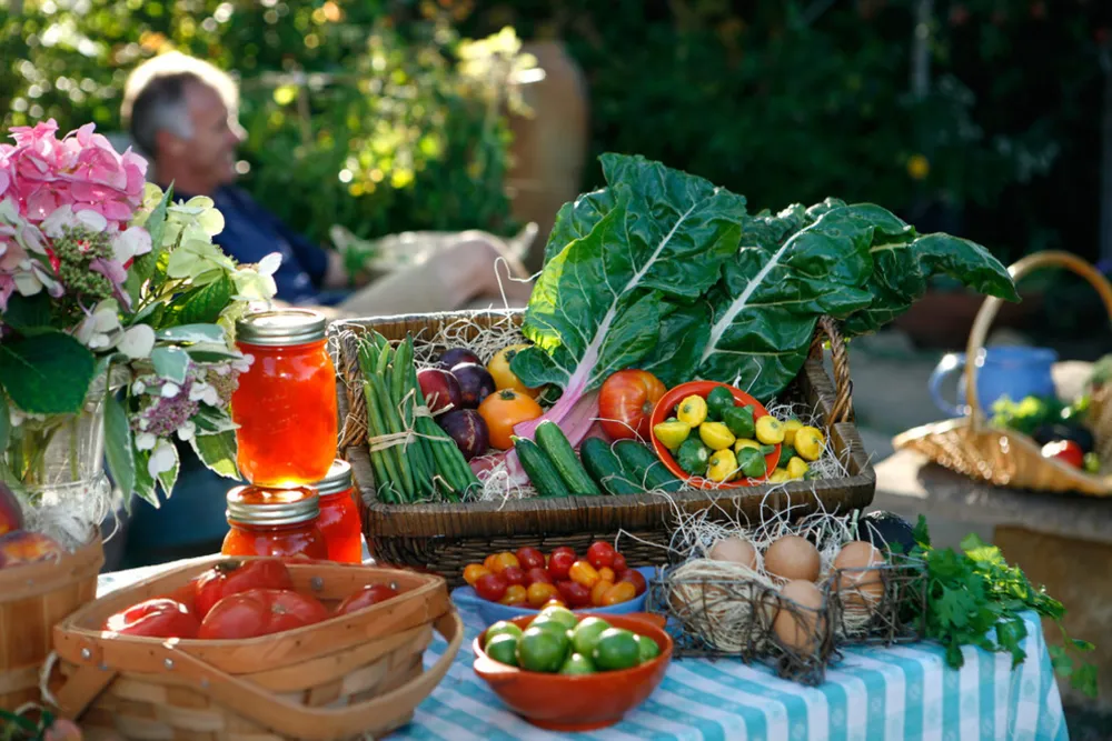 Grace Design Associates