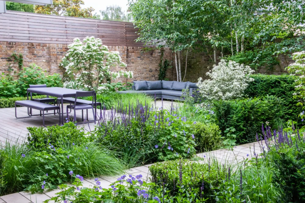 Small Contemporary Garden Blackheath