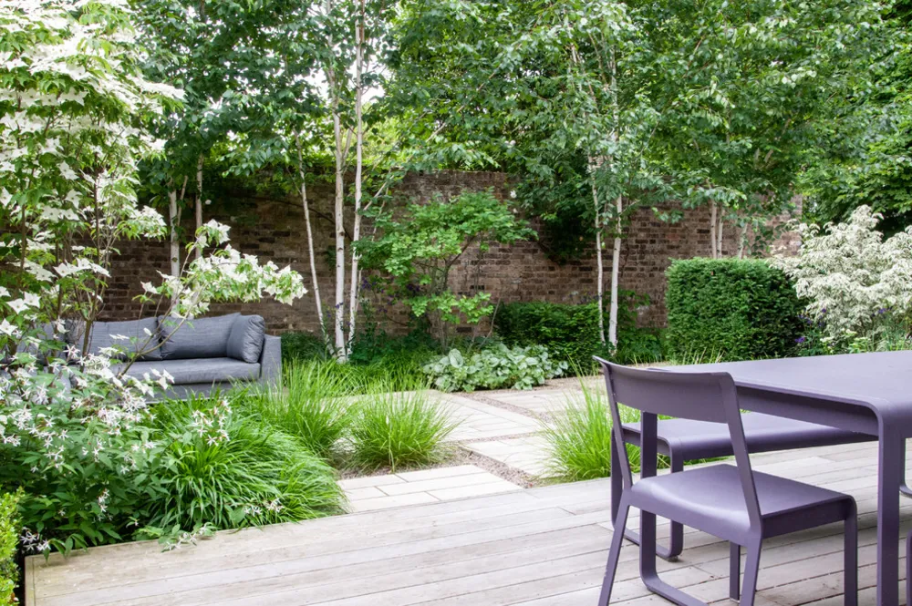 Small Contemporary Garden Blackheath