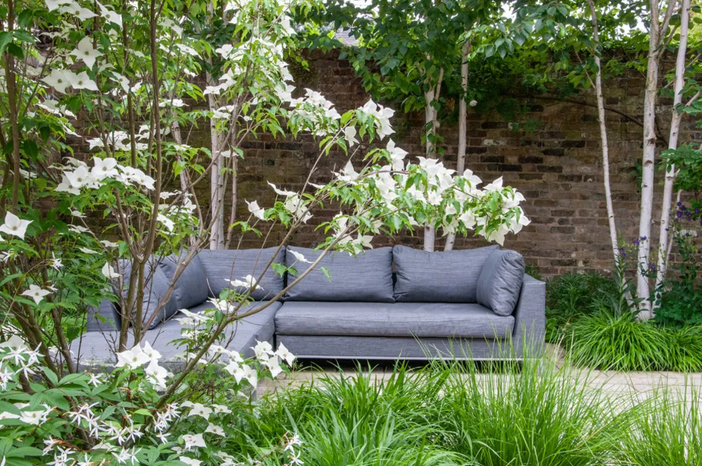 Small Contemporary Garden Blackheath