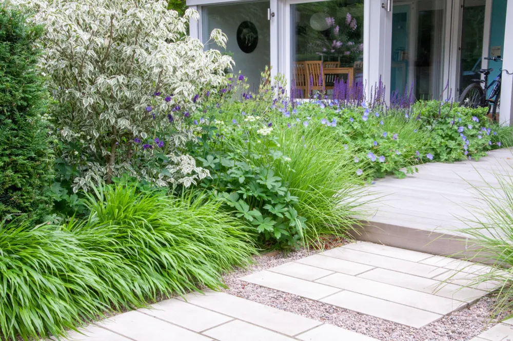 Small Contemporary Garden Blackheath