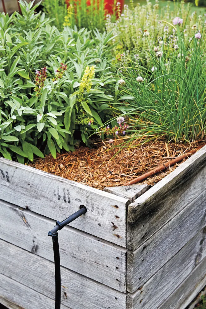 Kasvata. Ruoka. Missä tahansa