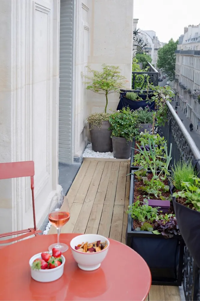 Terrasse haussmanienne comestible