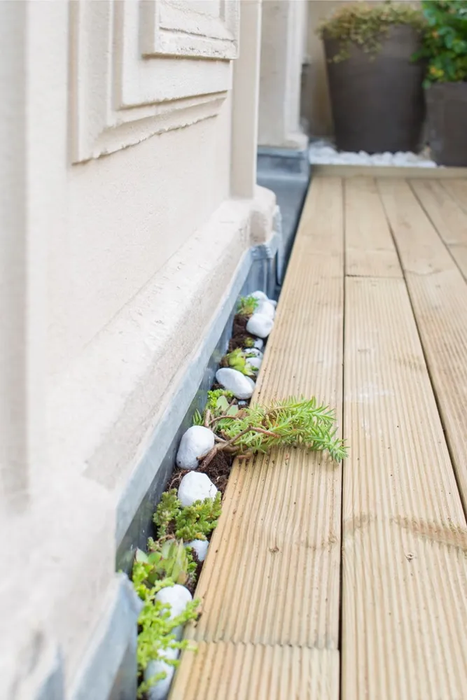 Terrasse haussmanienne comestible