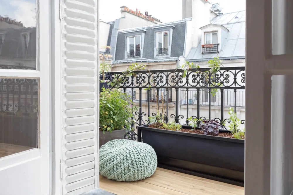 Terrasse haussmanienne comestible