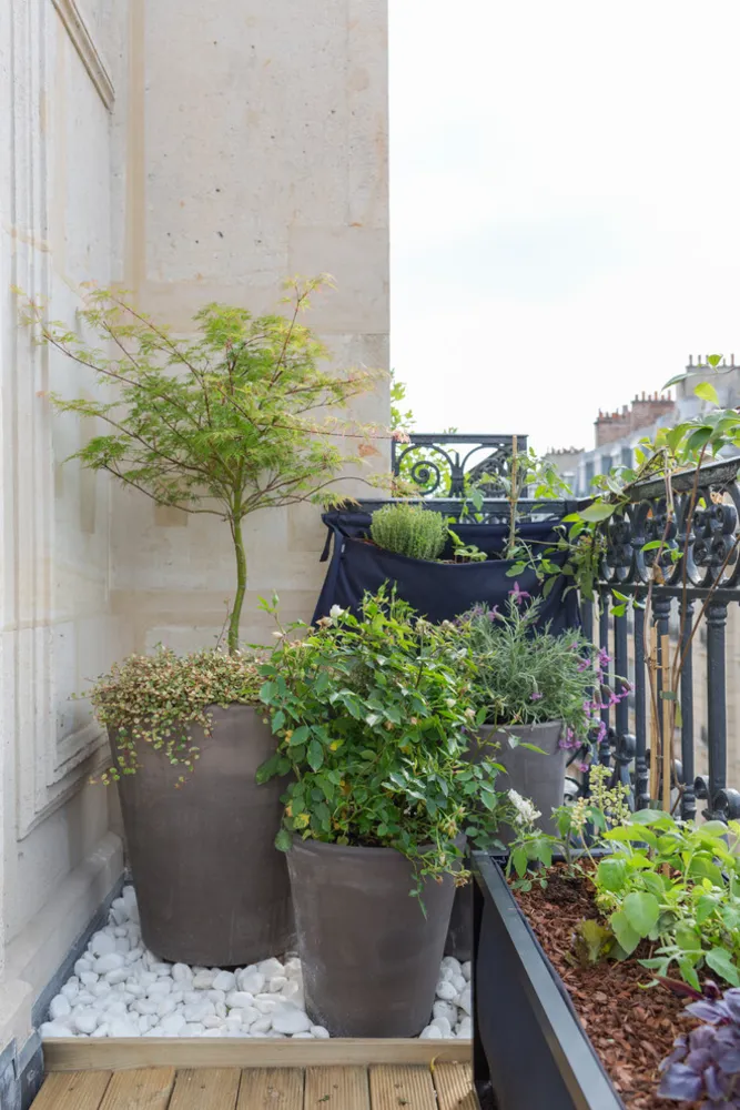 Terrasse haussmanienne comestible