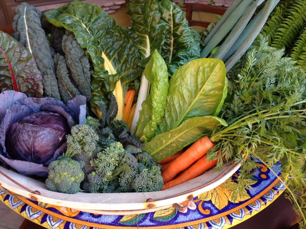 Rancho Santa Fe spiselige have