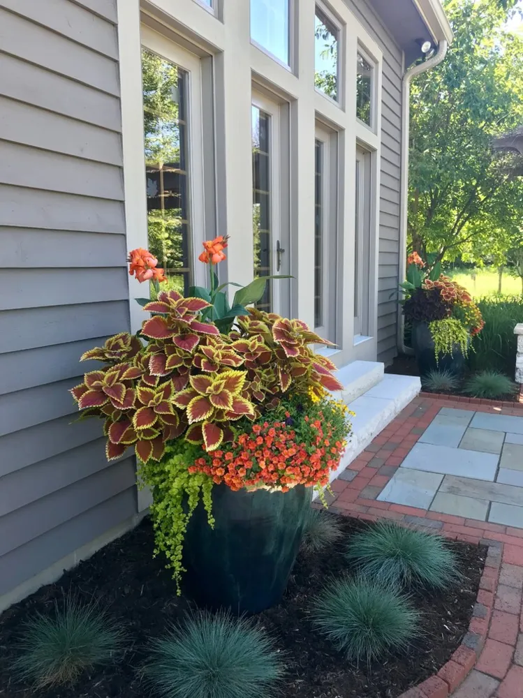 Renk Dolu 3 Mevsimlik Bir Konteyner Bahçe