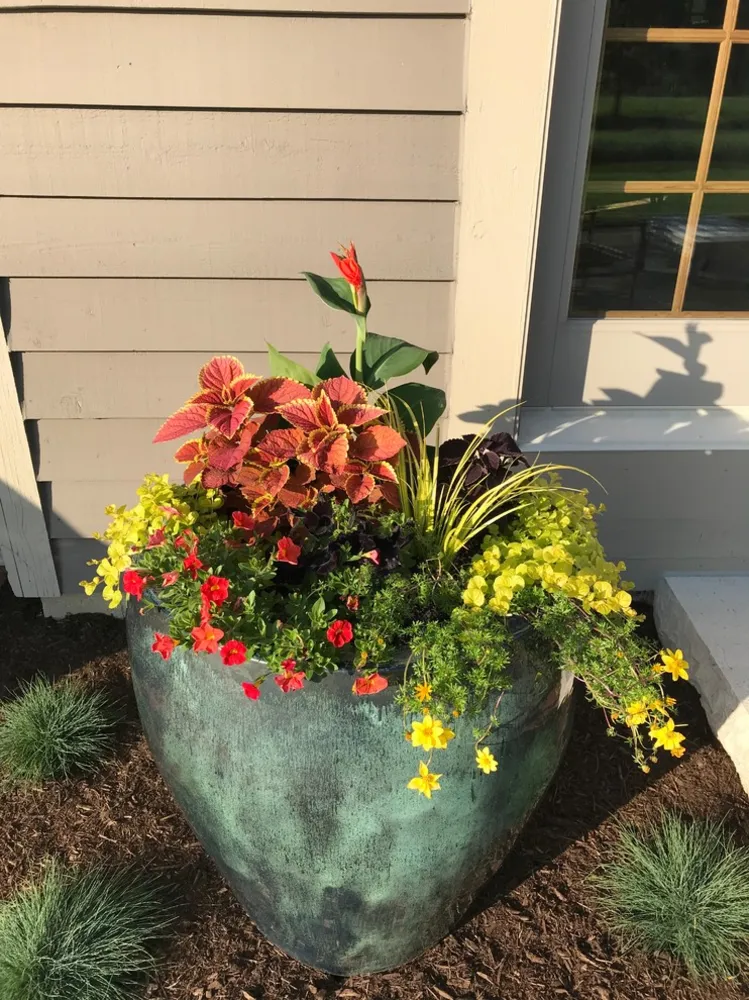 3 Mevsimlik Bir Konteyner Bahçesi Renk Taşıyor