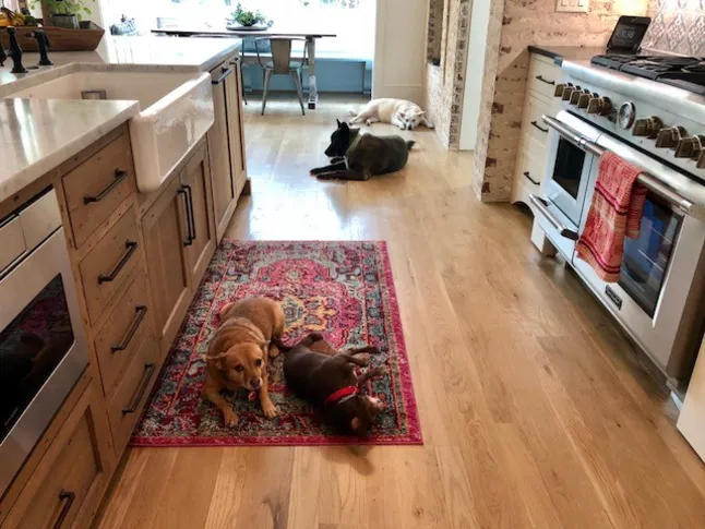 Viikon keittiö: vanha ja uusi ilme sekoittuvat aurinkoisessa perhekeskuksessa