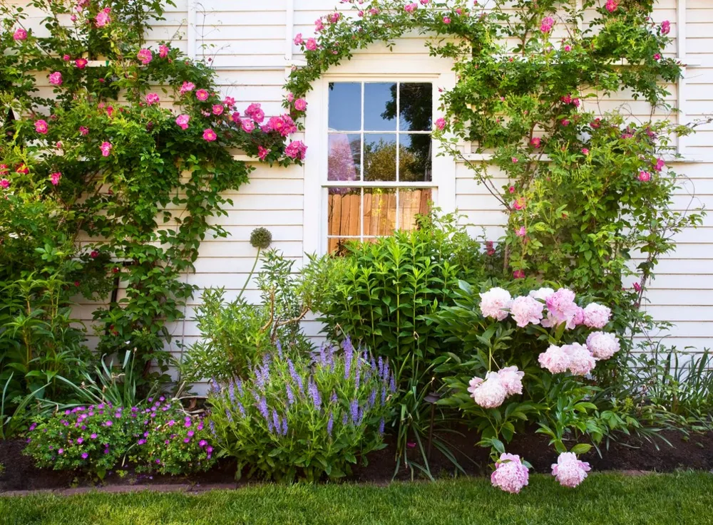 New England Backyard