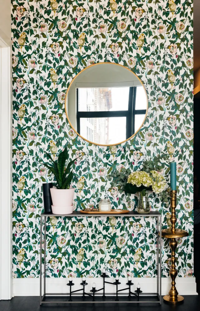 My Servista: Tämä D.C. Bakerin asunto on kasvien täytetty keidas