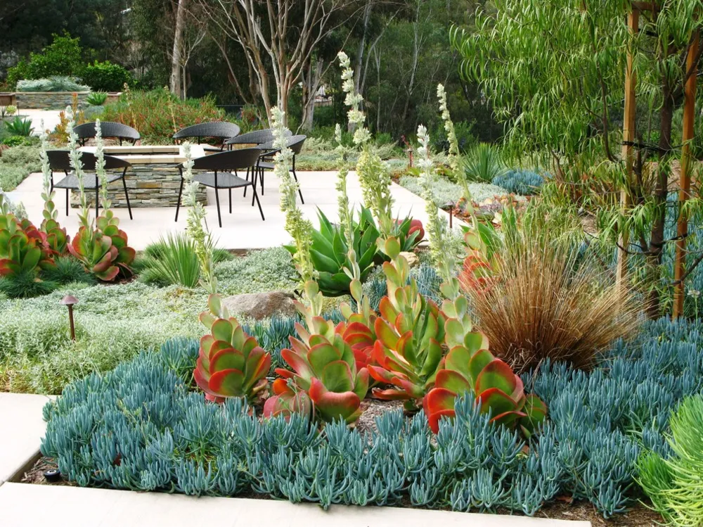 debora carl landscape design