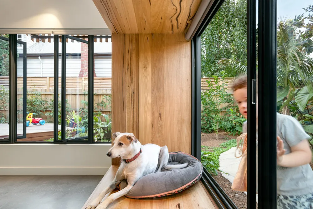 Душа магнолії - місце під вікном