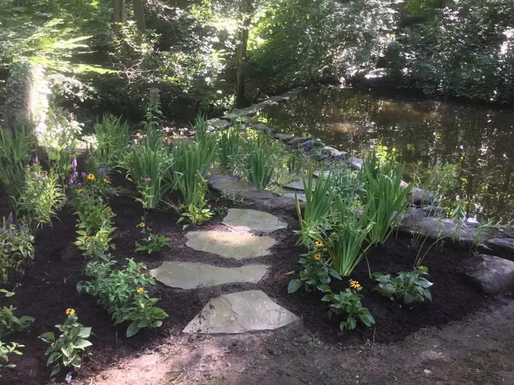 Obnova koupaliště a původní bažinatá zahrada v White Plains, NY